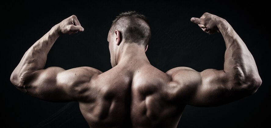 U.S. Air Force 1st Lt. James LaCoste, 633rd Force Support Squadron chief career development element, practices a back double bicep pose at Joint Base Langley-Eustis, Va., July 20, 2017. While preparing for a bodybuilding competition, LaCoste opted to not use a trainer or coach. (U.S. Air Force photo by Staff Sgt. J.D. Strong II)