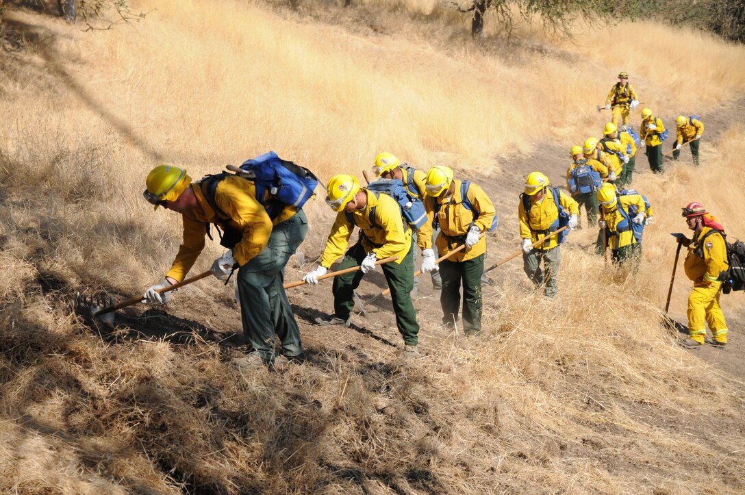 A row of soldiers scrape at grass with tools.