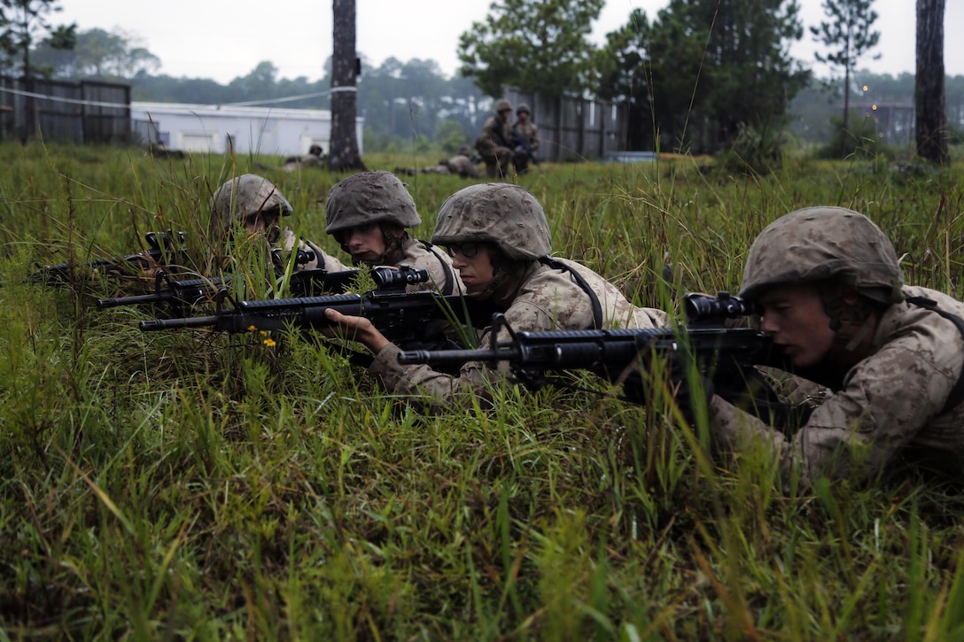 A row of Marines lay on the ground and point guns.