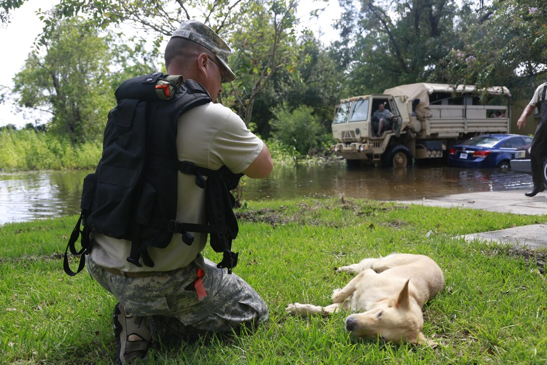 A soldier kneels down near a dog lying in grass.