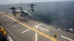A Marine Corps MV-22B Osprey aircraft assigned to Marine Medium Tiltrotor Squadron 162 (Reinforced), 26th Marine Expeditionary Unit, lands aboard the amphibious assault ship USS Kearsarge.