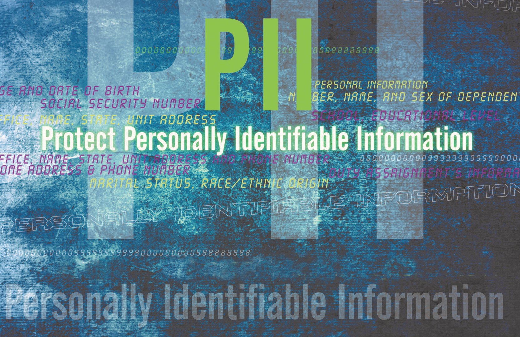 PII logo