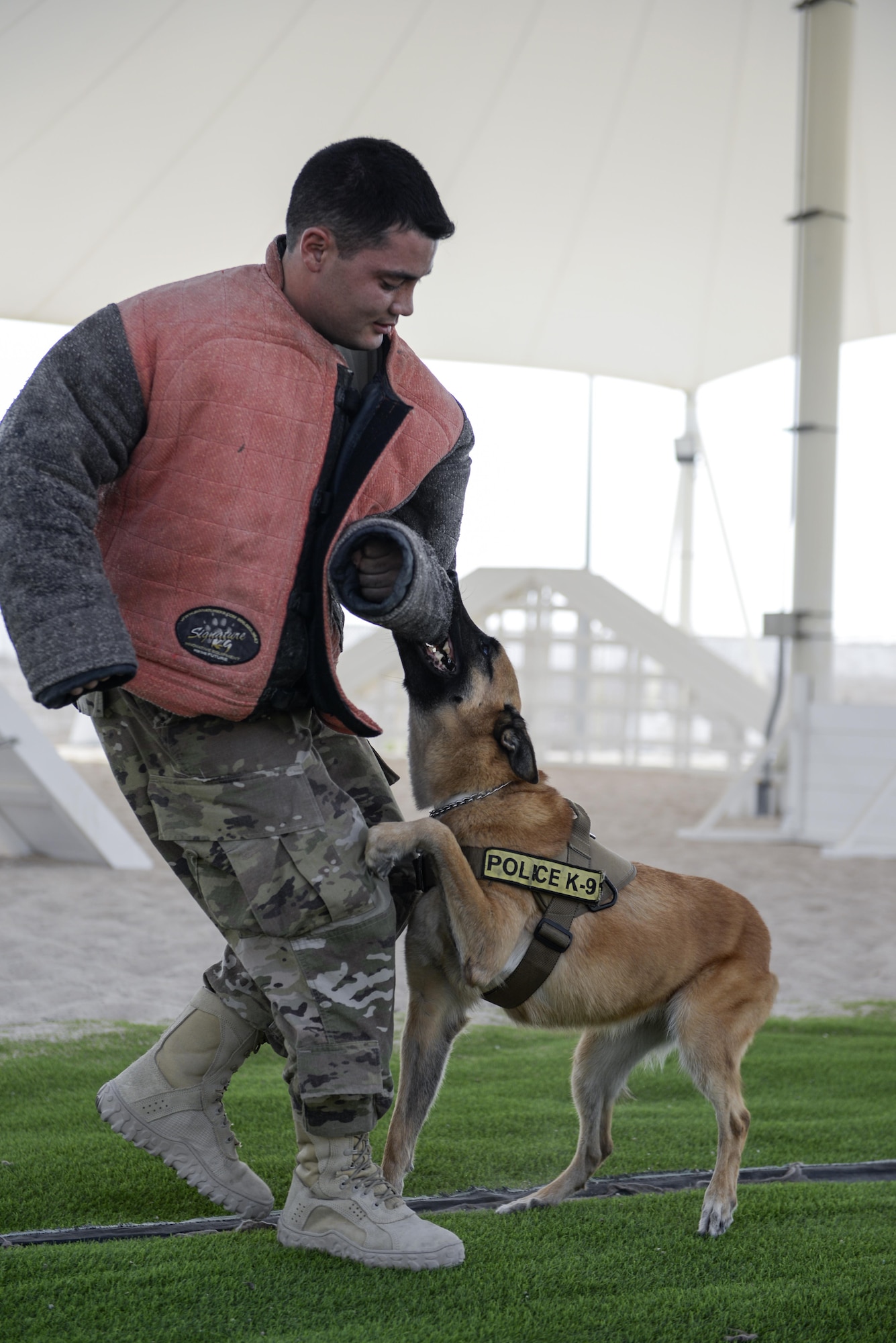 U.S. Air Force Staff Sgt. Matthew Ratchford, military working dog handler assigned to the 379th Expeditionary Security Forces Squadron, is detained by military working dog Oopey, during a K-9 demonstration exercise at Al Udeid Air Base, Qatar, Aug. 17, 2017.