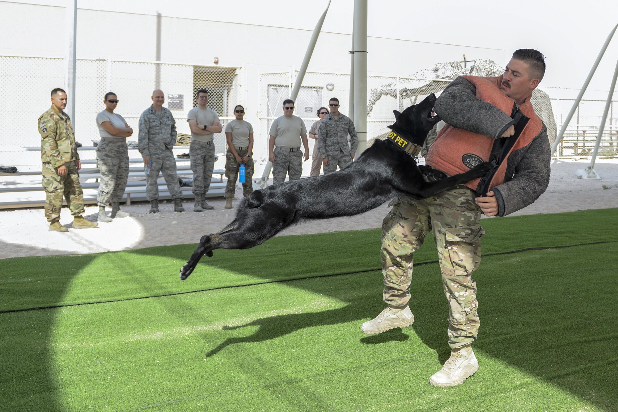 U.S. Air Force Staff Sgt. Brandon Stone, military working dog handler assigned to the 379th Expeditionary Security Forces Squadron, braces for impact as military working dog, Cola, attempts to detain him during a K-9 demonstration exercise at Al Udeid Air Base, Qatar, Aug. 17, 2017.