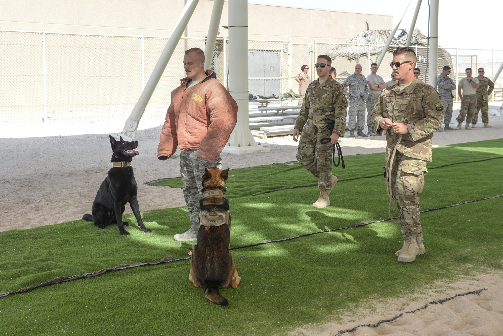 U.S. Air Force Staff Sgt. Brandon Stone, military working dog handler assigned to the 379th Expeditionary Security Forces Squadron, braces for impact as military working dog, Cola, attempts to detain him during a K-9 demonstration exercise at Al Udeid Air Base, Qatar, Aug. 17, 2017.