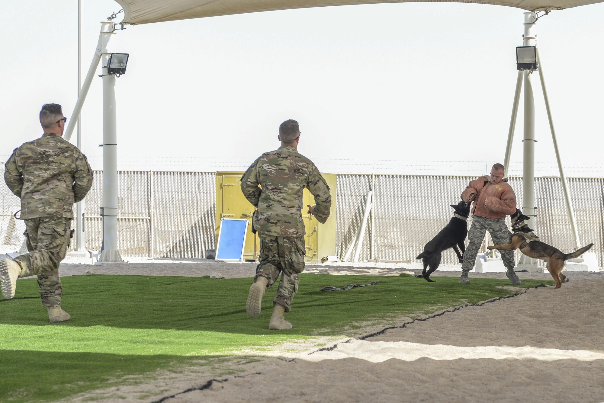 U.S. Air Force Senior Airman Louis Hurbis, military working dog handler assigned to the 379th Expeditionary Security Forces Squadron, is detained by military working dogs, Bady, left, and Hugo, while fellow military working dog handlers Staff Sgts. Brandon Stone, left, and Cole Farley, run toward the “suspect” during a K-9 demonstration exercise at Al Udeid Air Base, Qatar, Aug. 17, 2017.
