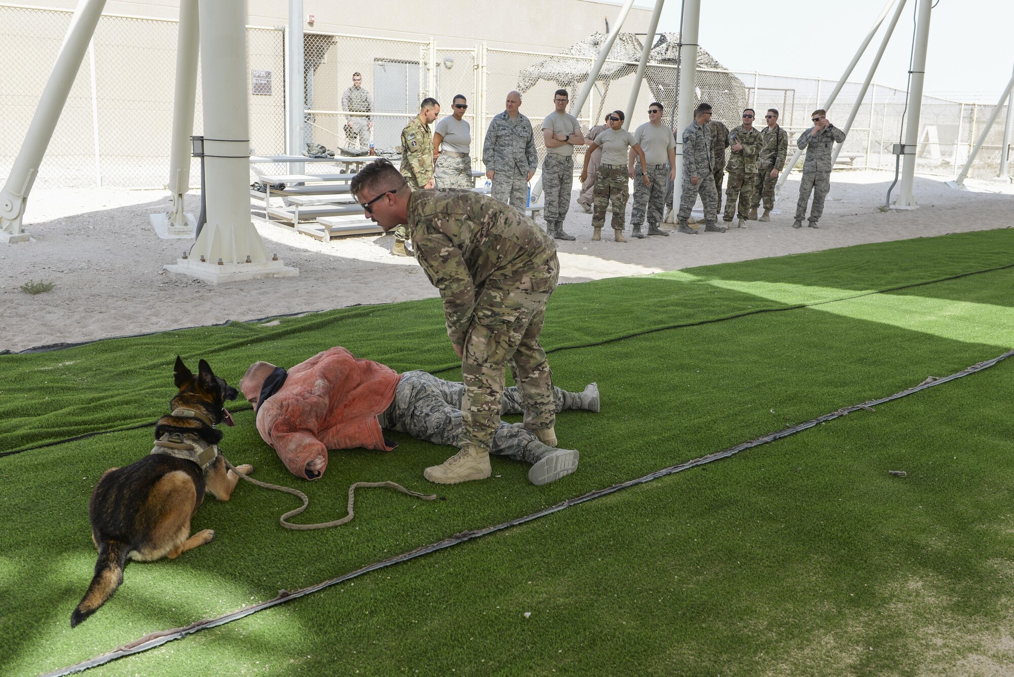 U.S. Air Force Senior Airman Louis Hurbis lays on the ground as fellow 379th Expeditionary Security Forces Squadron military working dog handler, Staff Sgt. Brandon Stone, stands over him while military working dog Hugo looks on after detaining the “suspect” and bringing him to the ground during a K-9 demonstration exercise at Al Udeid Air Base, Qatar, Aug. 17, 2017.