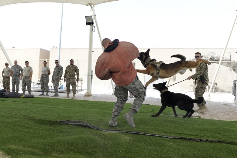 U.S. Air Force Senior Airman Louis Hurbis, military working dog handler assigned to the 379th Expeditionary Security Forces Squadron, spins as military working dog, Hugo, hangs on tight during a K-9 demonstration exercise at Al Udeid Air Base, Qatar, Aug. 17, 2017.