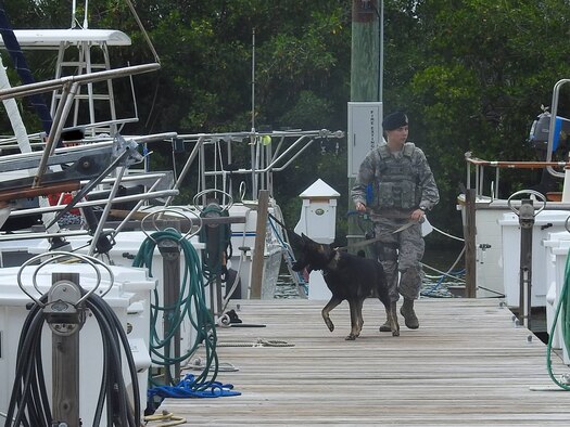 SSgt Frances Hopfer, security forces handler, and her military working dog, Digo, conduct final safety checks of the marina at Patrick Air Force Base, Florida, Sept. 9, 2017. The marina was secured after the 45th Space Wing entered hurricane condition levels for Hurricane Irma.