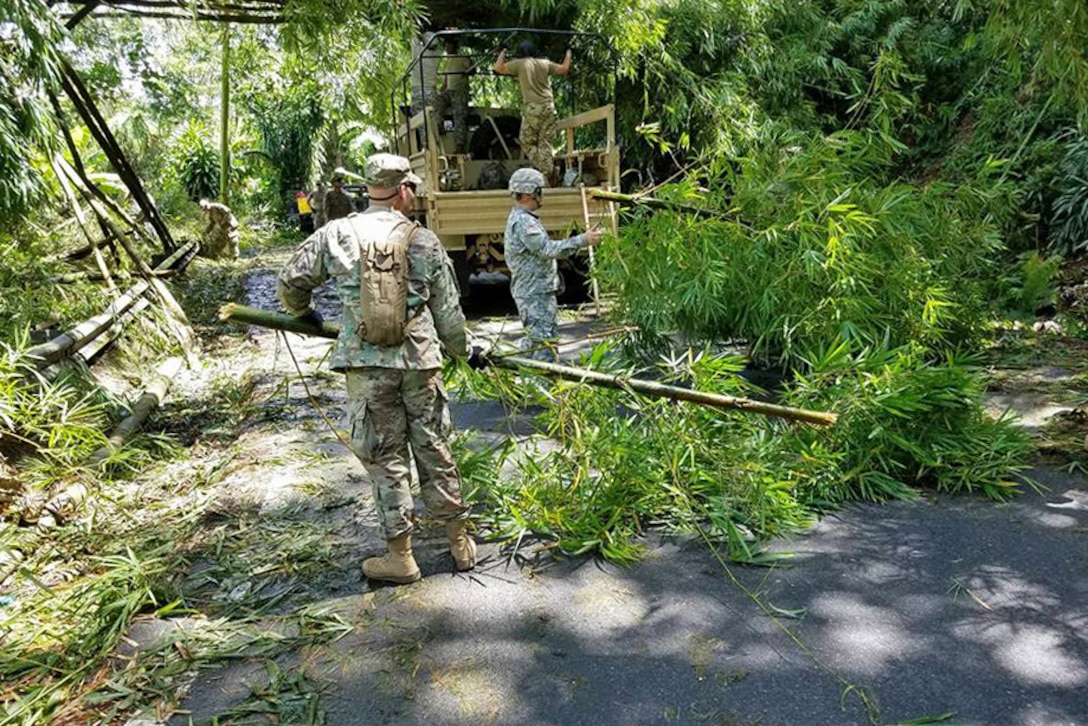 Several guardsmen remove branches from a roadway.
