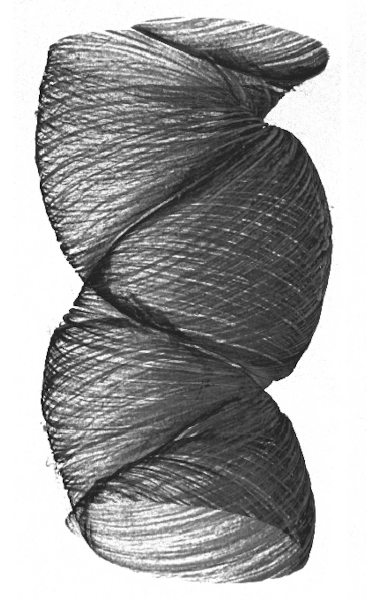 3-D rendering of a Twistron Yarn