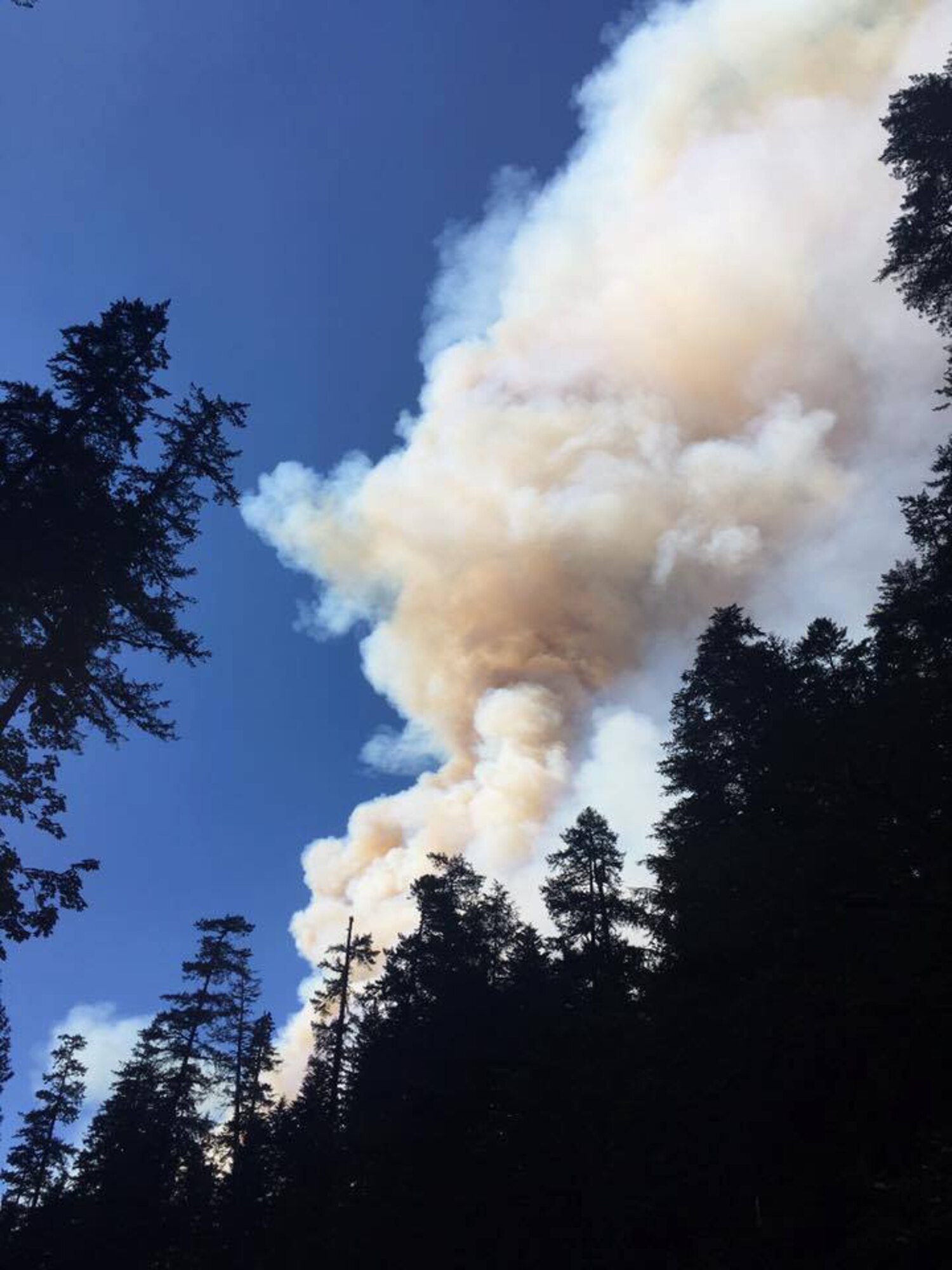 A view of the plume shortly after the fire took off on the Eagle Creek Trail in the Columbia River Gorge near Portland, Ore, on Sept. 2, 2017. Helicopters buzzed over heads to dump water on the fire, as around 150 people hunkered down on the Punchbowl Falls rocky beach. Tech. Sgt. Robert Dones, 349th Medical Squadron surgical technician, helped guide the group out of the fire. (U.S. Air Force courtesy photo provided by Sarah Carlin Ames)