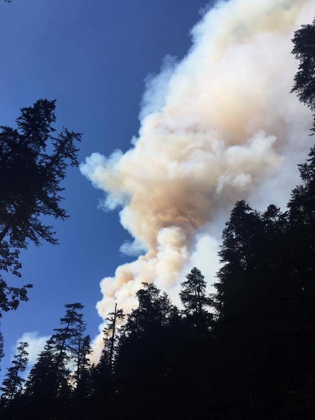 A view of the plume shortly after the fire took off on the Eagle Creek Trail in the Columbia River Gorge near Portland, Ore, on Sept. 2, 2017. Helicopters buzzed over heads to dump water on the fire, as around 150 people hunkered down on the Punchbowl Falls rocky beach. Tech. Sgt. Robert Dones, 349th Medical Squadron surgical technician, helped guide the group out of the fire. (U.S. Air Force courtesy photo provided by Sarah Carlin Ames)