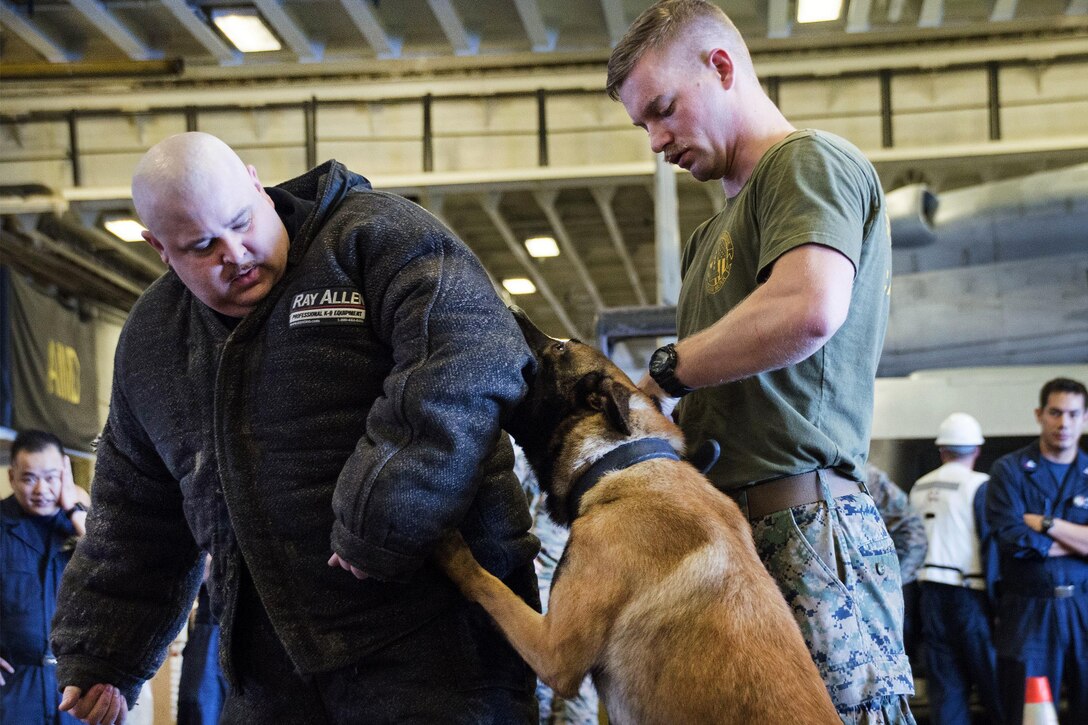 Service members take part in a military working dog demonstration.
