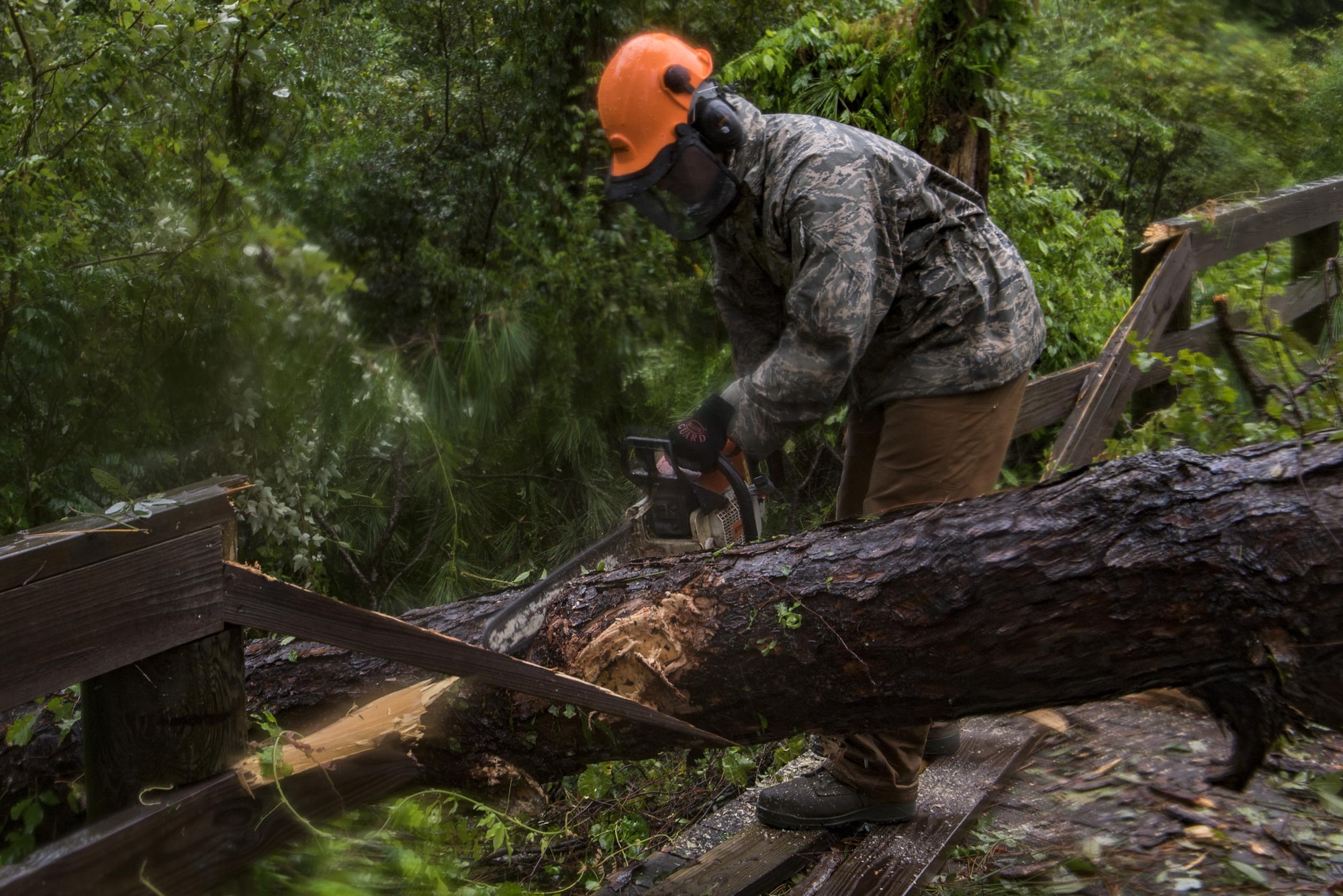 Senior Airman Justin Benito, 23rd Civil Engineer Squadron heavy equipment operator, uses a chainsaw to cut a fallen tree’s trunk, Sept. 11, 2017, at Moody Air Force Base, Ga. Moody’s ride-out team consisted of approximately 80 Airmen who were tasked with immediately responding to mission-inhibiting damage caused by Hurricane Irma. (U.S. Air Force photo by Airman 1st Class Daniel Snider)