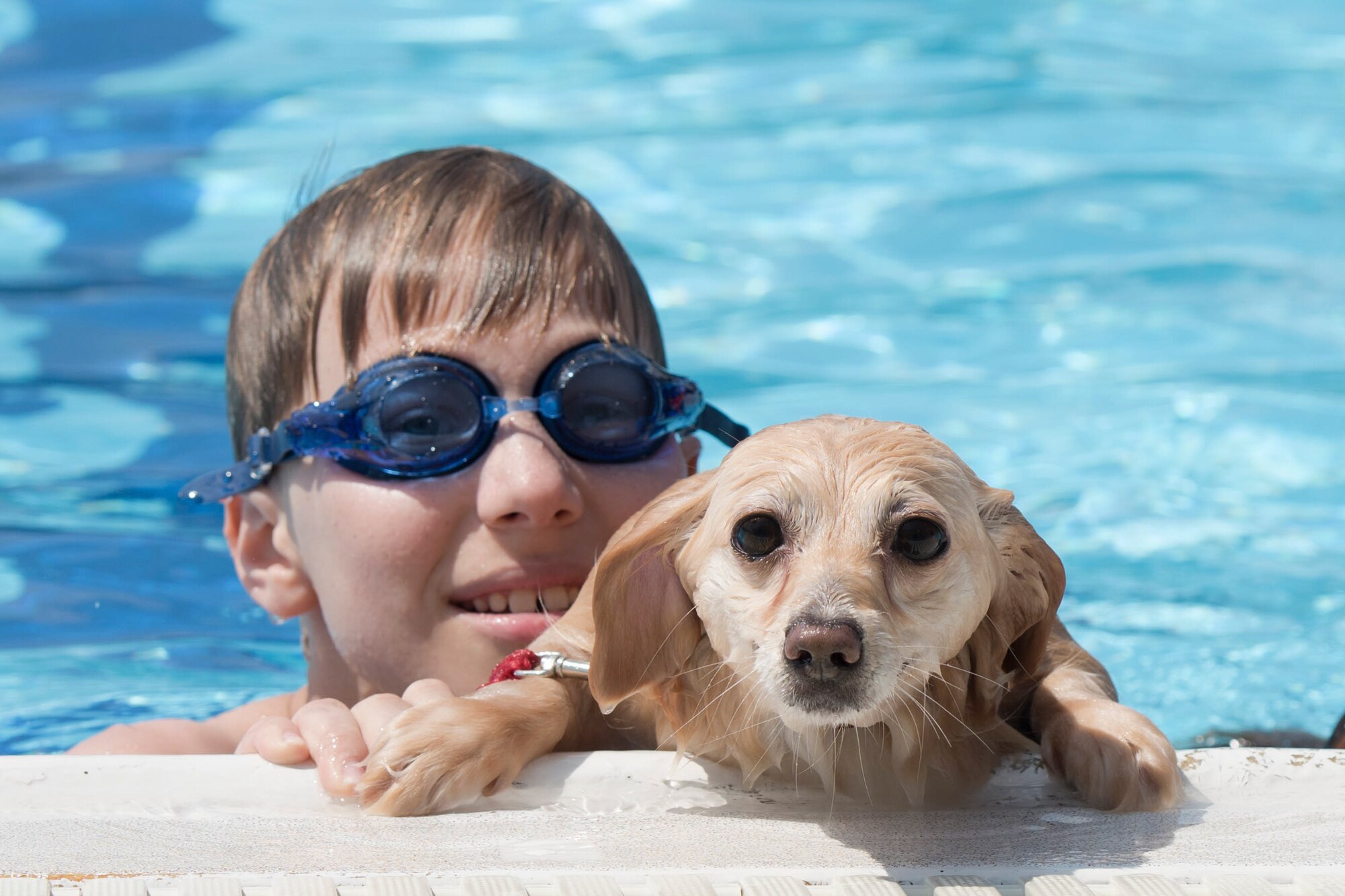 A dog rests the edge of the pool with its owner during the Dog Days of Summer event at Yokota Air Base, Japan, Sept. 9, 2017.