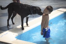 A dog sniffs a child during the Dog Days of Summer event at Yokota Air Base, Japan, Sept. 9, 2017.