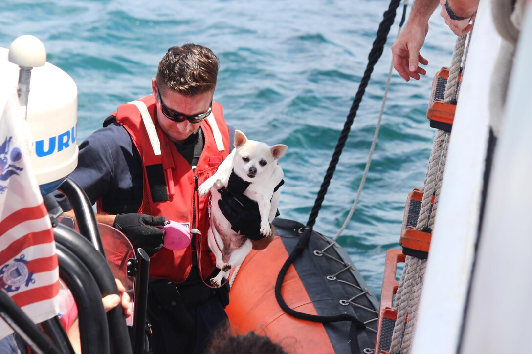 A Coast Guard member brings a dog aboard a cutter.