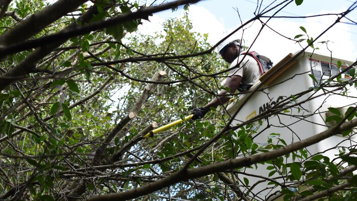 Electrician clearing lines