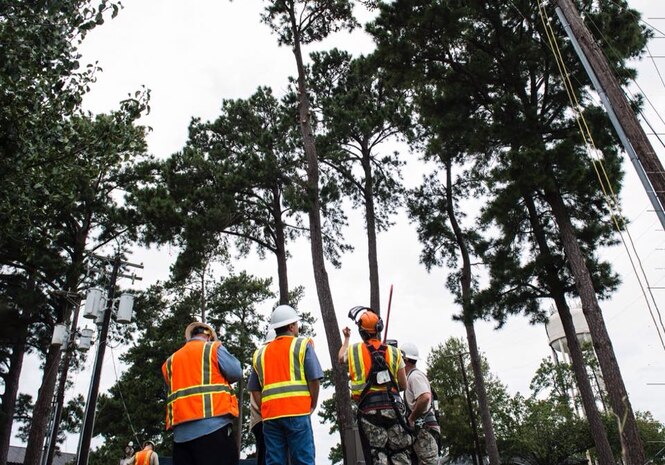 Personnel from the 628th Civil Engineer Squadron work to remove trees ahead of Hurricane Irma at Joint Base Charleston, S.C., September 10, 2017.