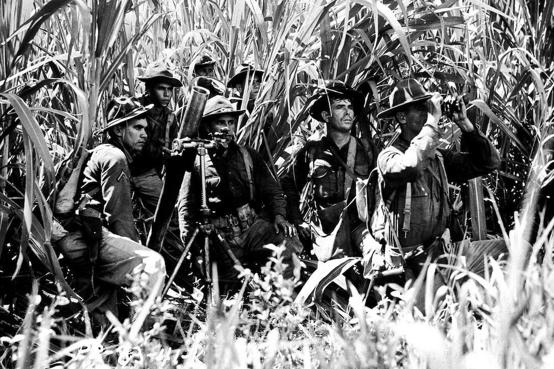 A row of soldiers kneels at the edge of a cane field.