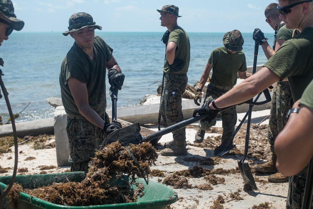 U.S. Marines with Battalion Landing Team 2nd Battalion, 6th Marine Regiment, 26th Marine Expeditionary Unit (MEU), conducted cleanup operations in the streets of Key West, Fla., Sept. 12, 2017. Marines and Sailors with the 26th MEU assisted the residents of Key West by clearing debris from the streets in support of Federal Emergency Management Agency in the aftermath of Hurricane Irma.