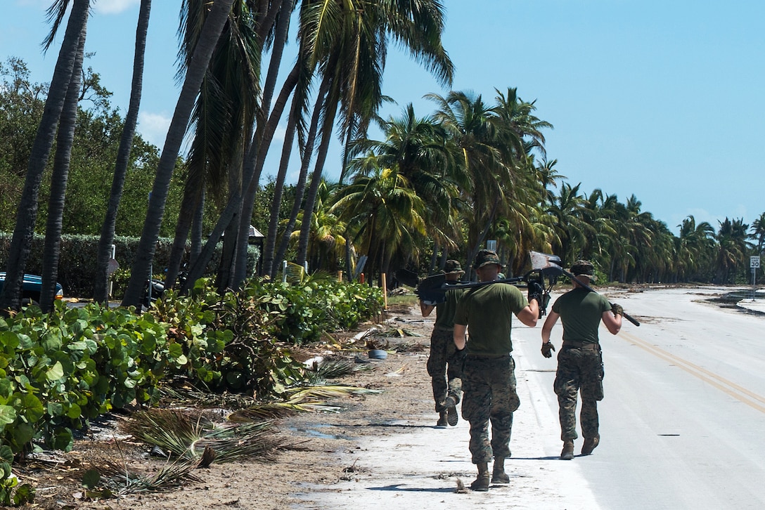 Marines walk down a palm lined street with shovels.
