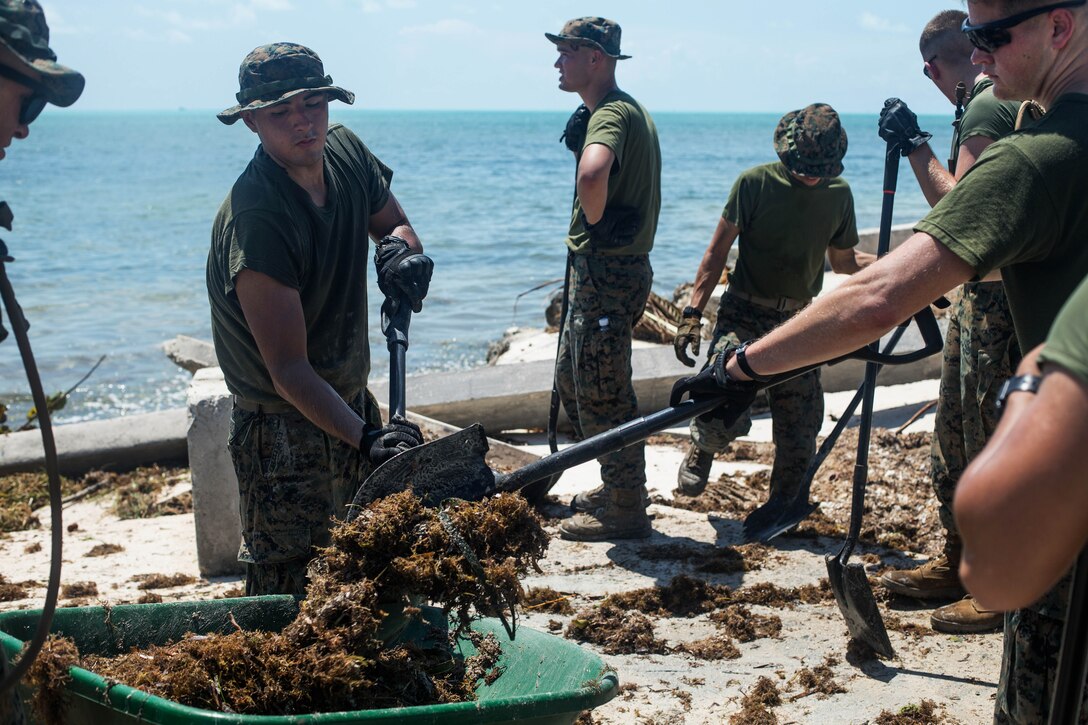 Marines use shovels to clear debris from the streets and beach areas and place it in a wheel barrow.