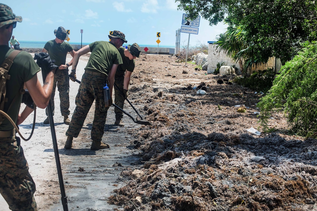 Four Marines use shovels to clear debris from the beach.
