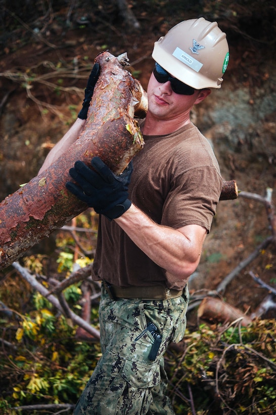 Sailors remove tree branches and debris.