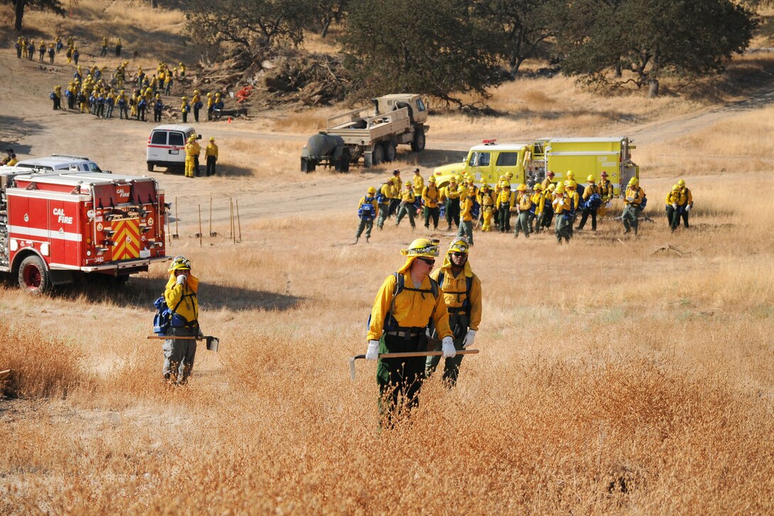 Groups of people stand near fire trucks in a field.