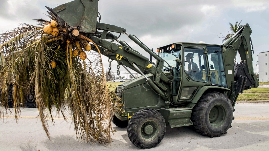 A sailor operates a construction vehicle carrying tropical tree foliage in its shovel.