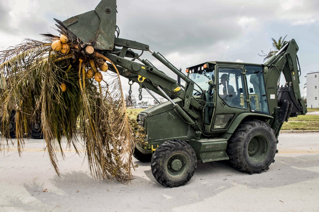 A sailor operates a construction vehicle carrying tropical tree foliage in its shovel.