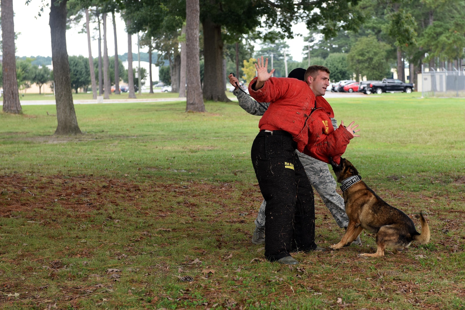 Staff Sgt. Austin Craven, 4th Security Forces Squadron military working dog handler, demonstrates a military working dog seizure during the 4th Fighter Wing 75th Anniversary tour, Sept. 15, 2017, at Seymour Johnson Air Force Base, North Carolina. During the tour, members of the Fire Department, security forces, MWD and explosive ordnance disposal held different stations and demonstrated the supporting units that support the 4th Fighter Wing mission. (U.S. Air Force photo by Airman 1st Class Miranda A. Loera)