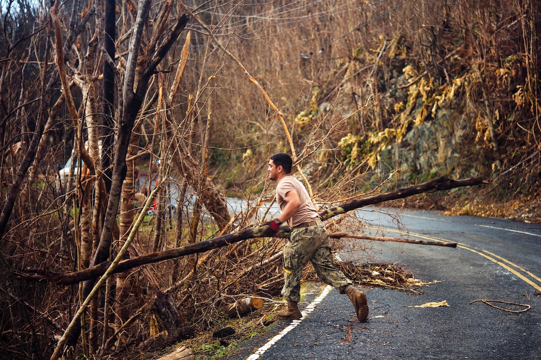 A Seabee tosses a large branch while removing debris from a roadway during clearing operation on St. John