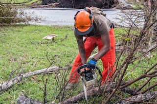 Navy Seaman Rafael Mora-Macedo uses a chain saw to help remove fallen trees felled by Hurricane Irma.