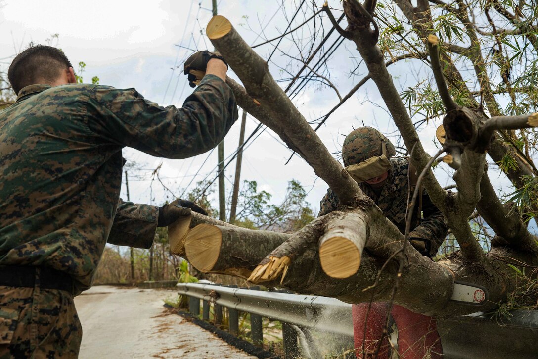 Marine Cpl. Ryan I. Smith, right, uses a chainsaw to cut through a fallen branch obstructing the roadway.
