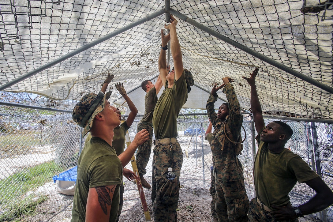 Several Marines hold up a chain link overhead structure in a kennel-type space.