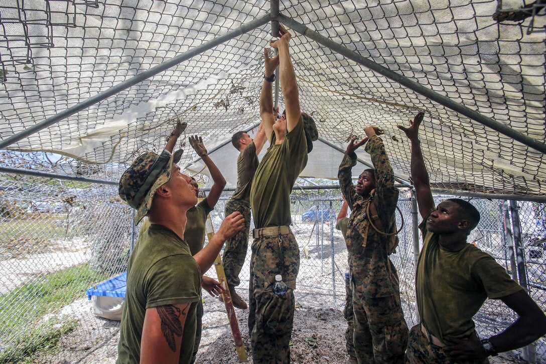 Several Marines hold up a chain link overhead structure in a kennel-type space.