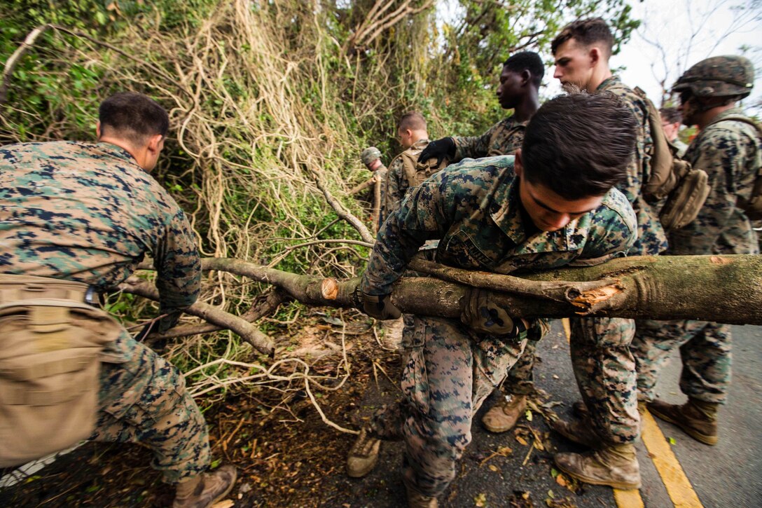 Marine Sgt. David M. Benitez, right, pulls out a tree branch clearing debris from the roadway.