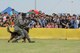 2017 Japanese-American Friendship Festival