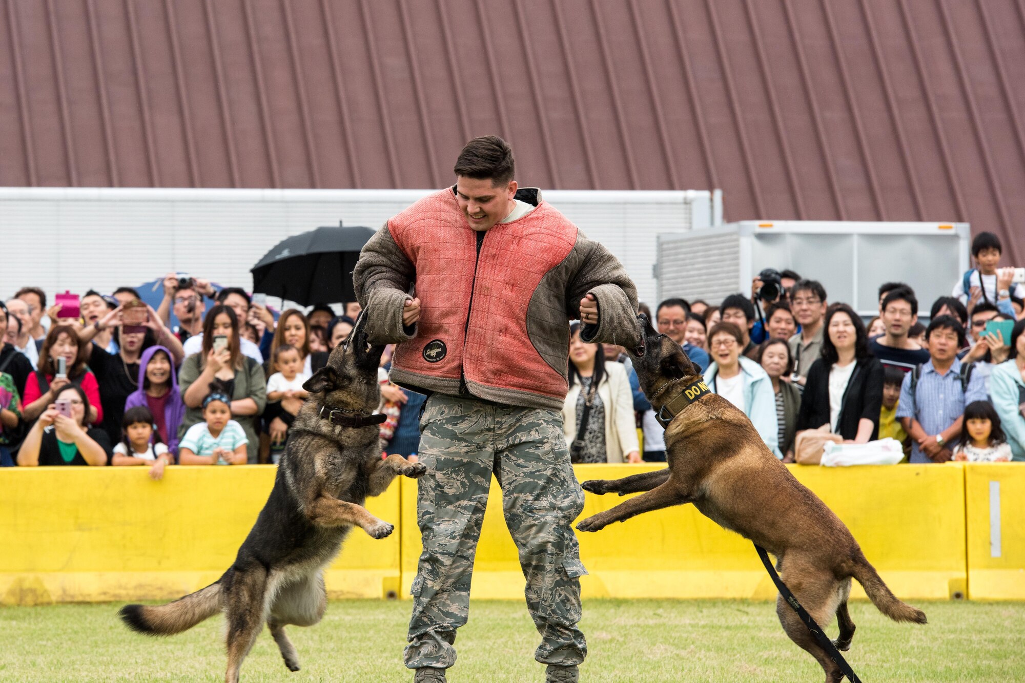 2017 Japanese-American Friendship Festival