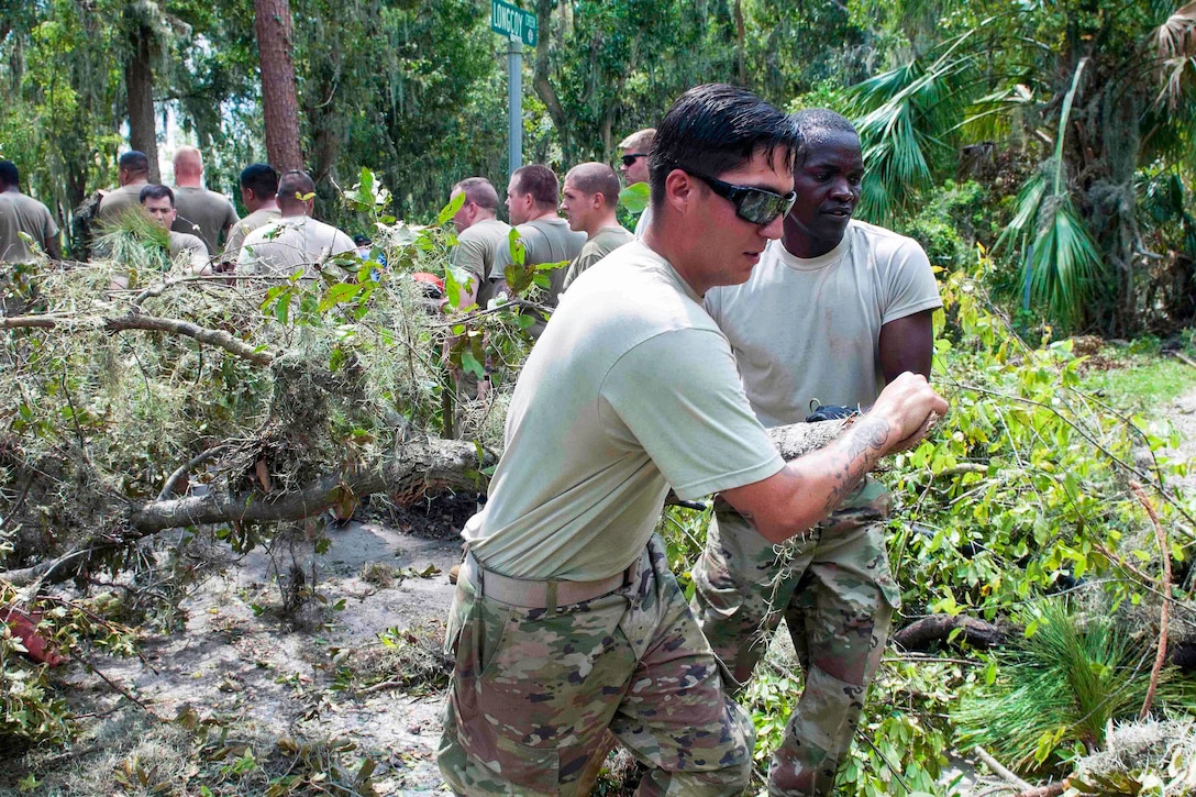 Two soldiers drag a downed tree branch cleaning up after Hurricane Irma.