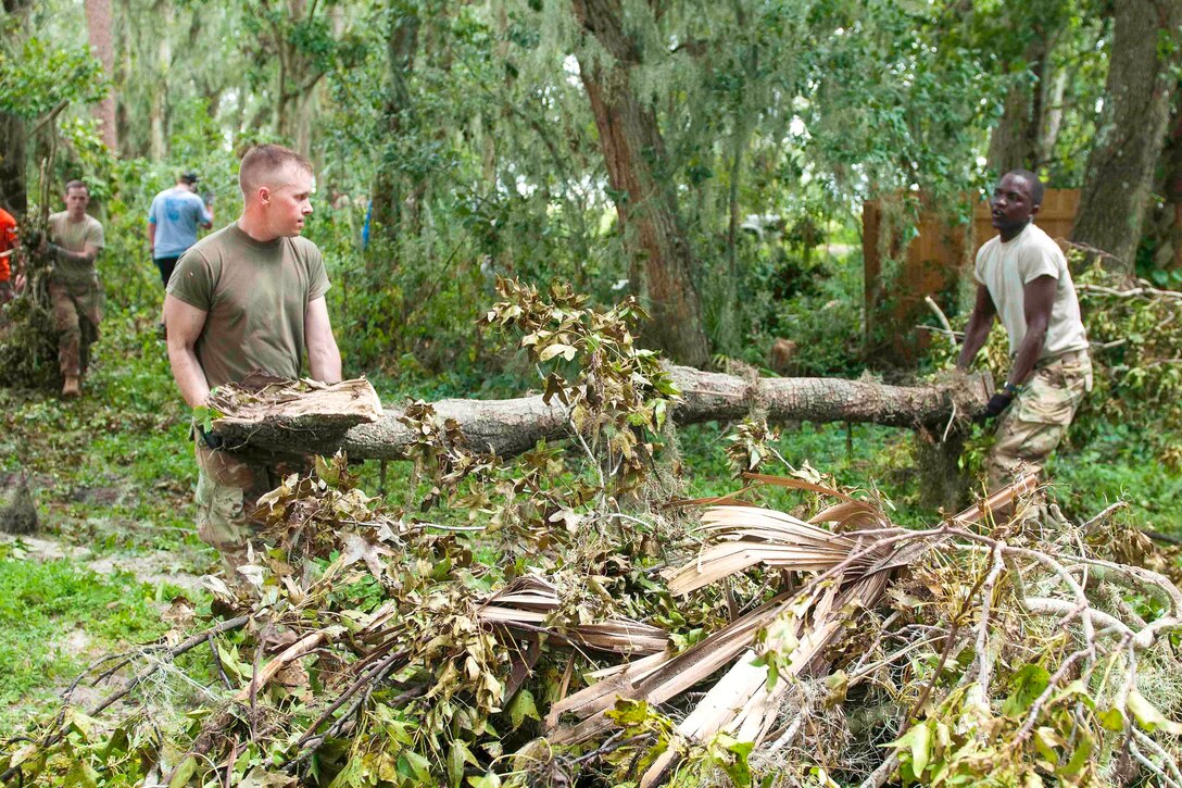 Soldiers carry off a downed tree branch.