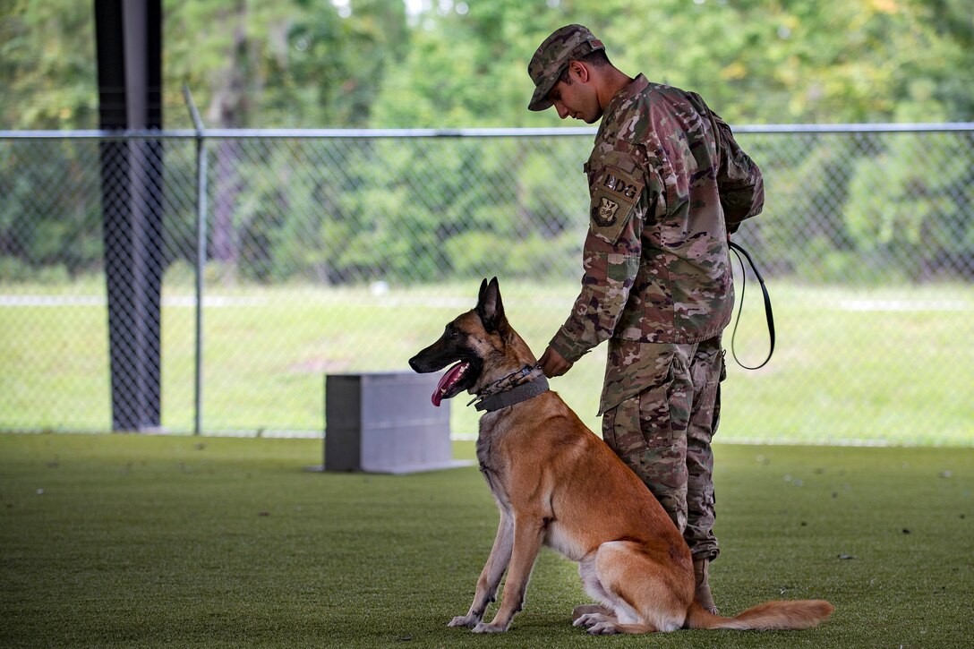 A member of the Air Force holds a dog's collar.