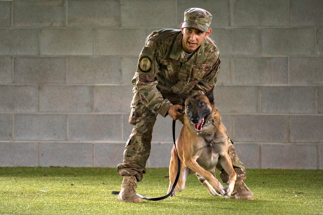 An airman holds the leash of a dog that is about to run.