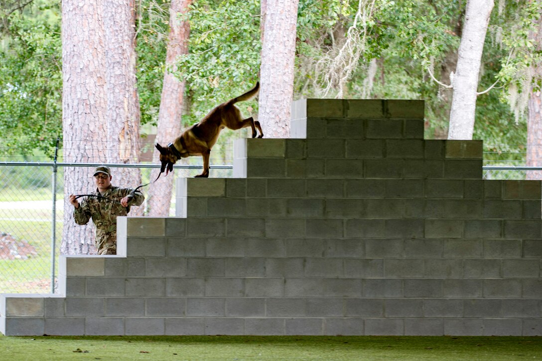 A dog goes down a flight of steps with an airman leading with a leash.