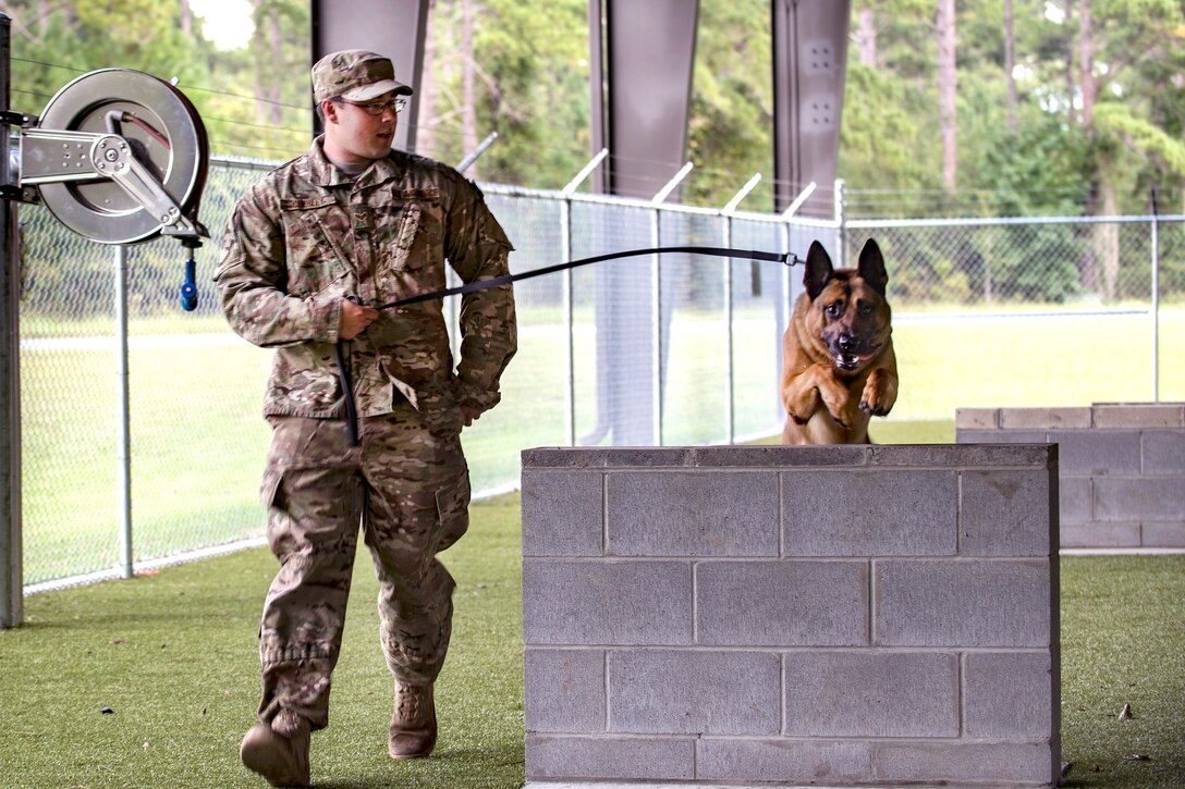A dog jumps over a cinderblock with an airman walking with the leash.