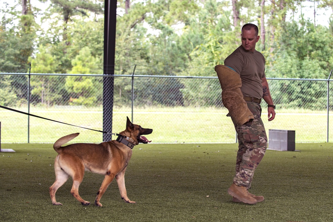 A dog on a leash approaches an airman wearing a protective arm covering.