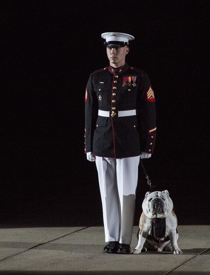 Marines of Marine Barracks Washington D.C. execute their final parade of the 2017 parade season at the Barracks, Aug. 25, 2017. The guests of honor for the parade were the Ambassador of Japan to the U.S., His Excellency Kenichiro Sasae, the Deputy Chief of Mission of the Embassy of the Republic of Korea, Mr. Woongsoon Lim, and the Ambassador of Australia to the U.S., His Excellency Joe Hockey. The hosting official for the parade was the Commandant of the U.S. Marine Corps, Gen. Robert B. Neller. (Official U.S. Marine Corps photo by Cpl. Robert Knapp/Released)